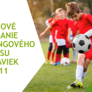 SoccerCoachesHub.com