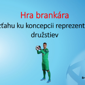 Hra brankára - Vo vzťahu ku hernej koncepcii SFZ