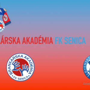 Brankárska akadémia FK Senica