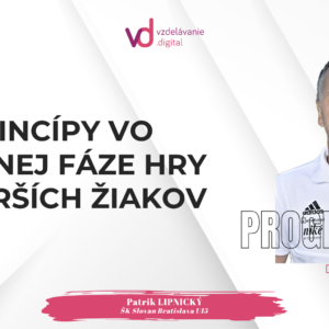 Princípy vo finálnej fáze hry u starších žiakov