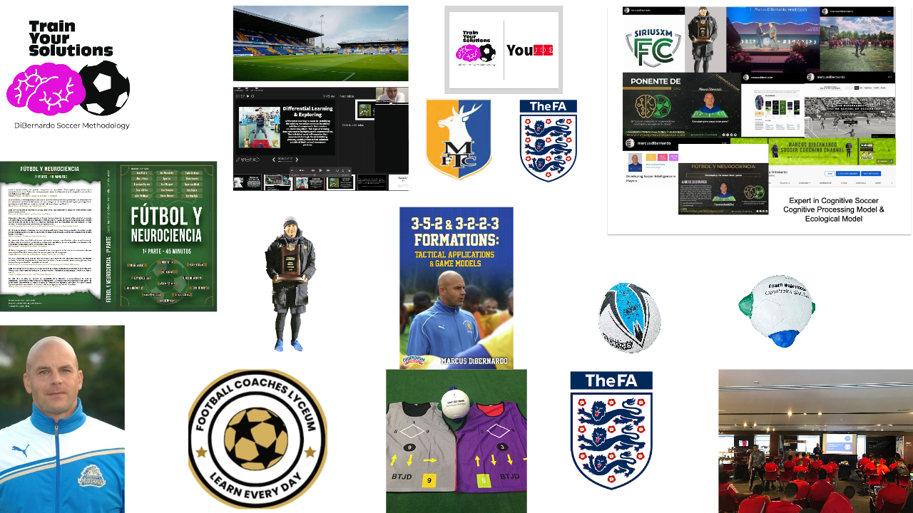 Developing the Soccer Brain